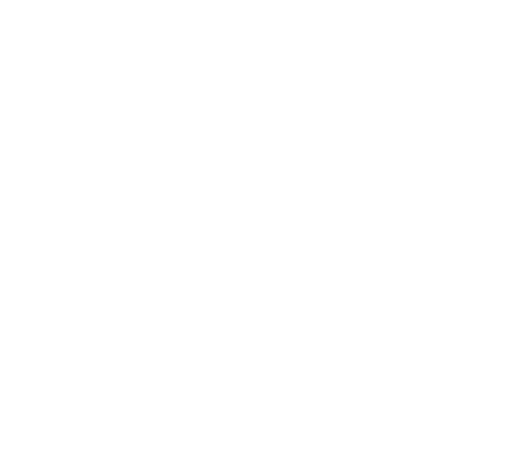 Frad风险管理LOGO中文竖版_白.png